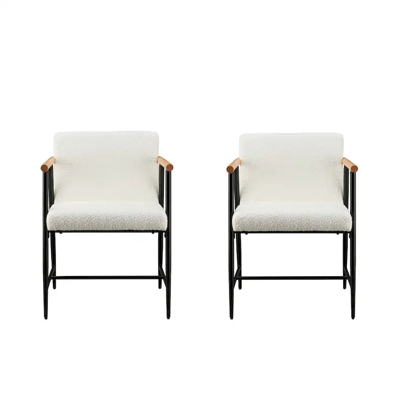 Elvryn Fabric Dining Chair (Set of 2) by Christopher Knight Home